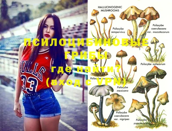 марихуана Белокуриха