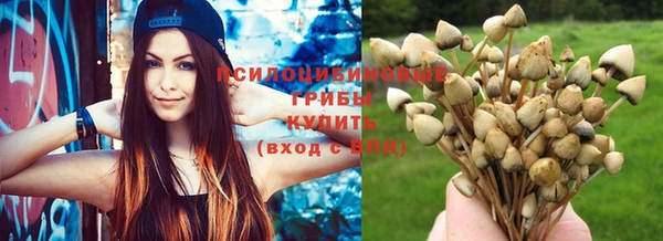 марихуана Белокуриха