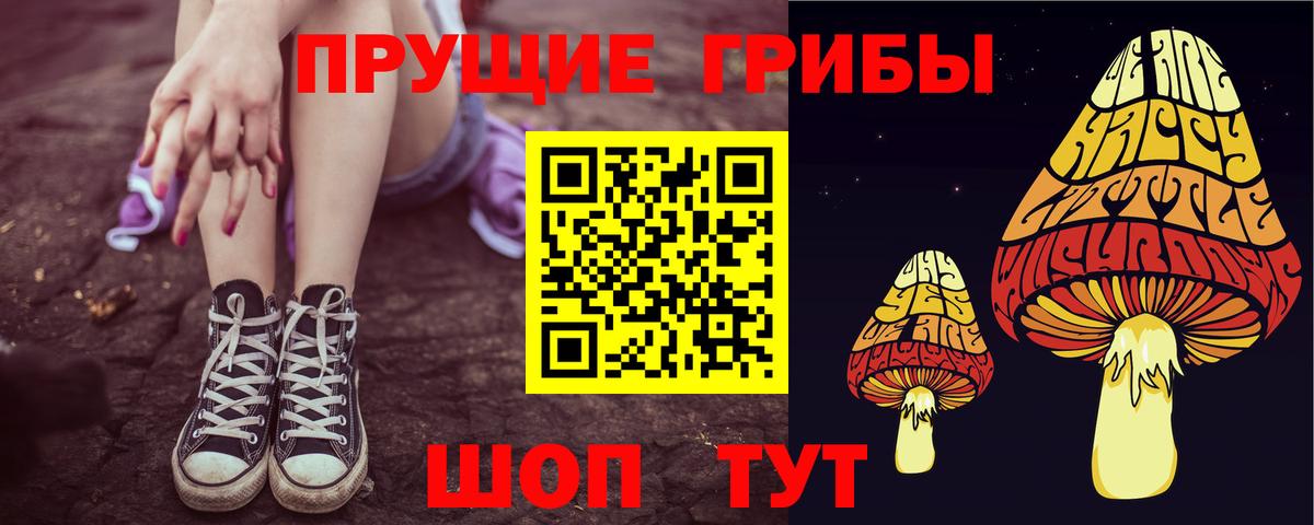 Псилоцибиновые грибы MAGIC MUSHROOMS  Вход с VPN  что такое   Гай  Галлюциногенные грибы Psilocybine cubensis 
