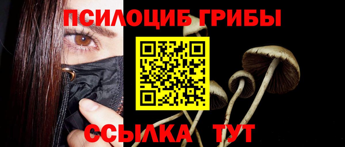 Галлюциногенные грибы ЛСД Гай