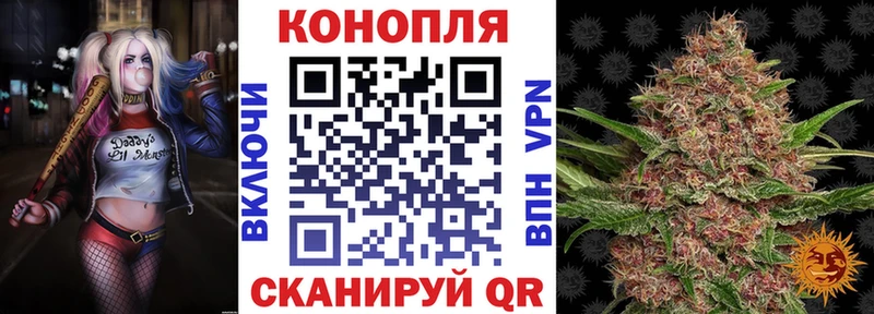 Каннабис VHQ  продажа наркотиков  Гай 